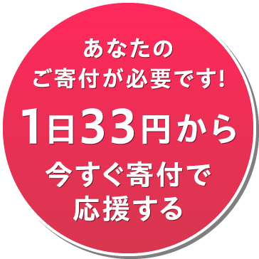 あなたのご寄付が必要です!1日33円から今すぐ寄付で応援する