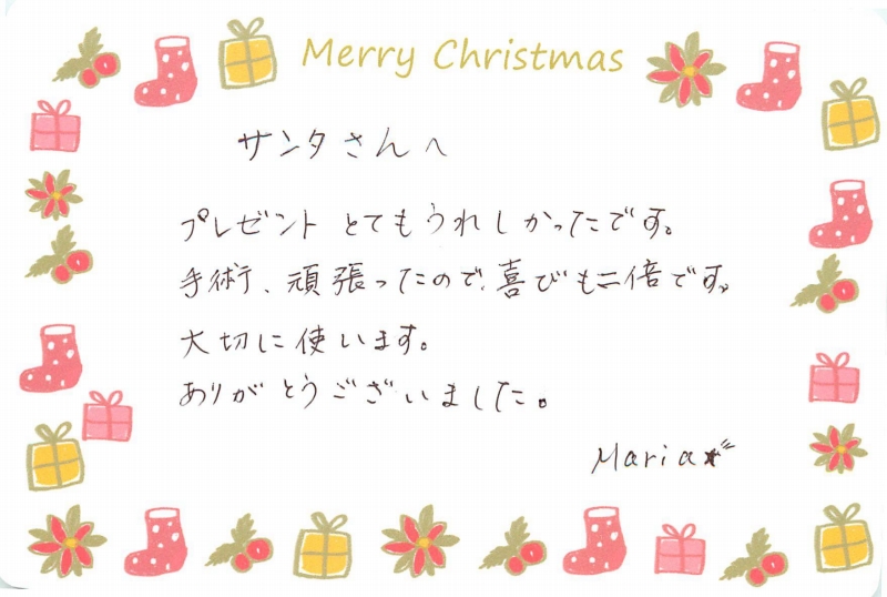 ポケサポ クリスマス会19 プレゼント購入資金寄付 認定npo法人ポケットサポート