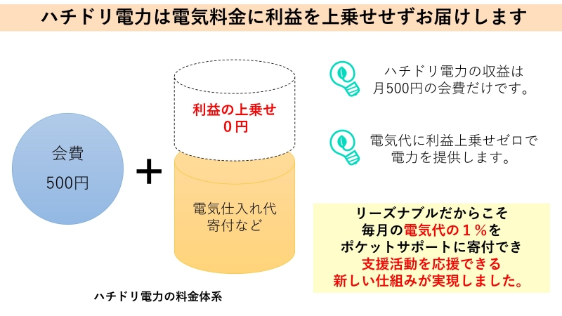 ハチドリ電力の料金体系